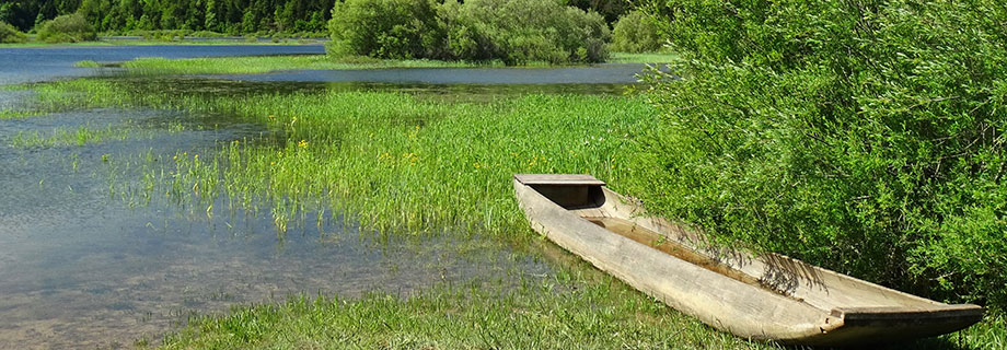 Cerkniško jezero-zahodni del