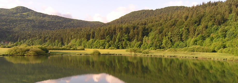 Krimsko(Podpeško) jezero