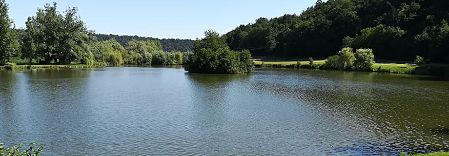 Ribnik Zg. Pristava