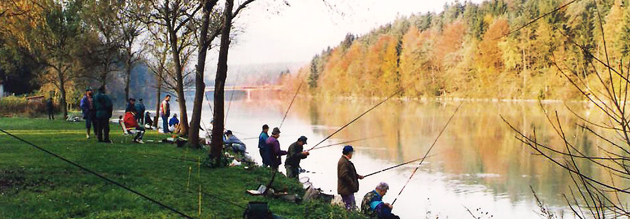 Drava 6