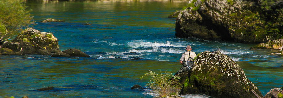 Sava Bohinjka